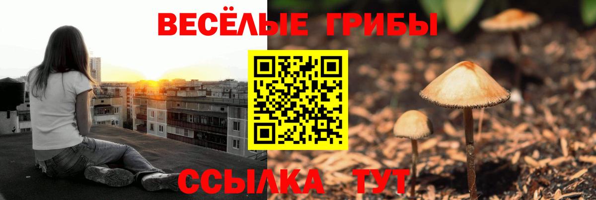 Псилоцибиновые грибы ЛСД  Псилоцибиновые грибы Psilocybe  Люберцы  Вход с VPN 
